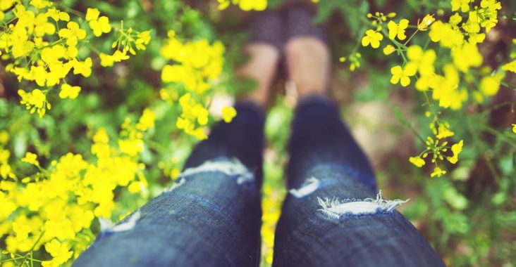 Springtime flowers