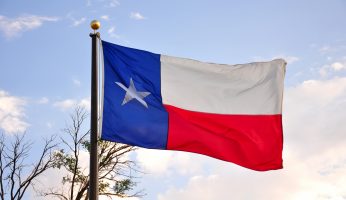 Texas Flag