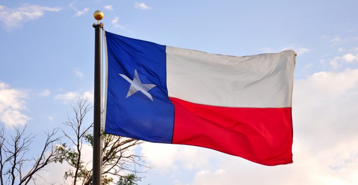 Texas Flag